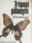 Trópusi pillangók