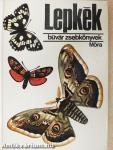 Lepkék