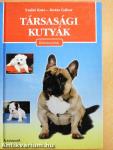 Társasági kutyák
