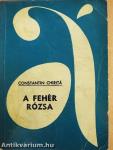 A fehér rózsa