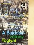 A Bujdosó-zátony foglyai