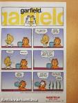 Garfield 2013. november