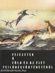 Fejezetek a Föld és az élet fejlődéstörténetéből