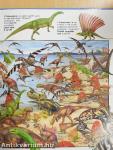 Keresd meg a dinoszauruszokat!