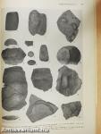 Archaeologiai értesítő 1957/1.