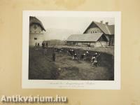 Die Neolithische Station von Butmir bei Sarajevo in Bosnien (rossz állapotú)