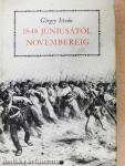 1848 júniusától novemberéig