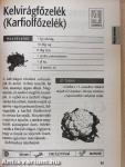 Millenniumi Receptlexikon