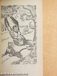 Tarzan dzsungeltörténetei