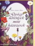 Gyógynövények mint háziszerek