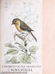 Singvögel
