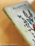 Ali, a gyáva vitéz