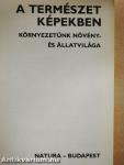 A természet képekben