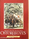 Ostorhegyes