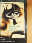 Adrian Mole minden kínszenvedései