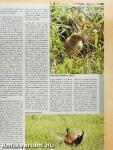 Hunor Vadászmagazin 2021/3.