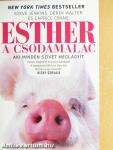 Esther, a csodamalac