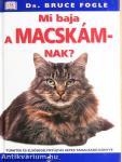 Mi baja a macskámnak?