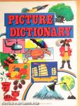 Picture Dictionary