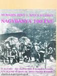 Nagybánya 100 éve