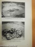 Archaeologiai Értesítő 1979/1.