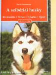 A szibériai husky