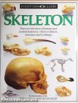 Skeleton