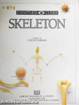 Skeleton