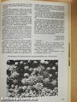 Kaktusz-világ 1991. 1-4.