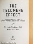 The Telomere Effect