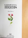 Growing Herbs