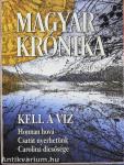 Magyar Krónika 2017. március