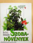 Szobanövények