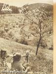 Élet 1941. április 27.