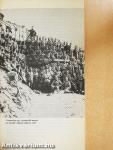 Piave 1918