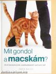 Mit gondol a macskám?