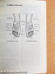 Reflexzóna-masszázs mindenkinek