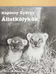 Állatkölykök