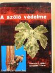 A szőlő védelme