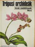 Trópusi orchideák