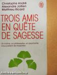 Trois amis en quete de sagesse