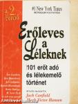 Erőleves a Léleknek 2.