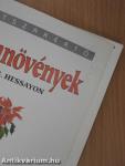 Szobanövények