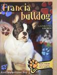 Francia bulldog