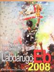 Labdarúgó-Eb 2008