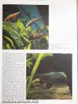 Complete Book of Tropical Fish