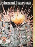 Debreceni Pozsgástár 2004/1-4.