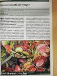 Debreceni Pozsgástár 2004/1-4.