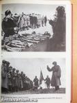 A második világháború története 1939-1945. 8.