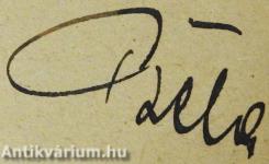 A raszteres mélynyomás (dedikált példány)